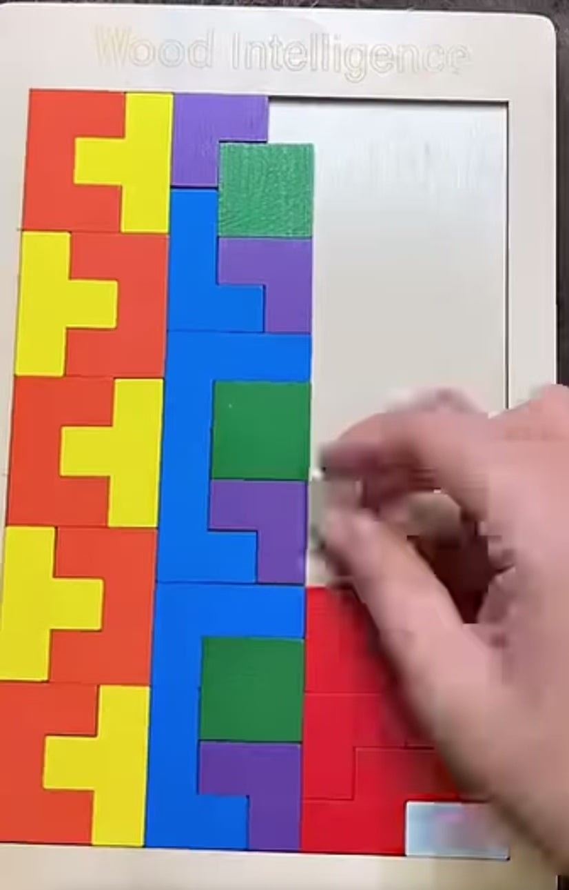 Wooden Intelligence Puzzle